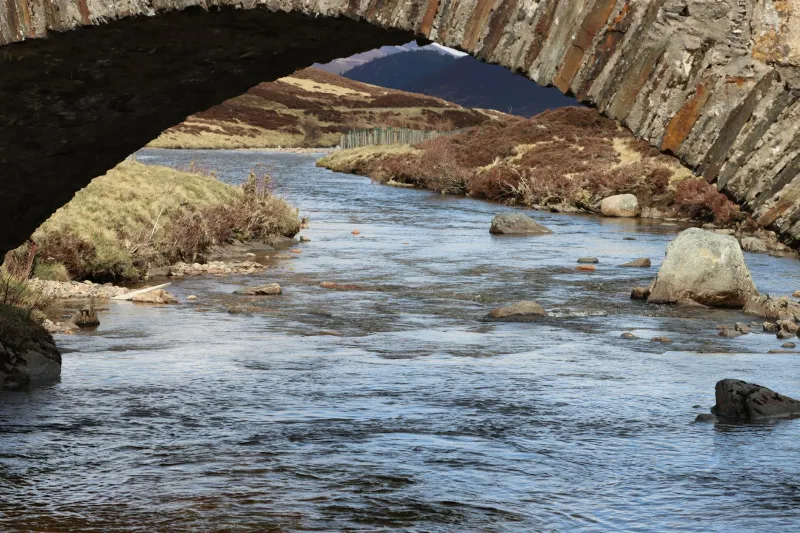 Ancient Survivors in Crisis: The Collapse of Britain's Freshwater Pearl Mussel Communities