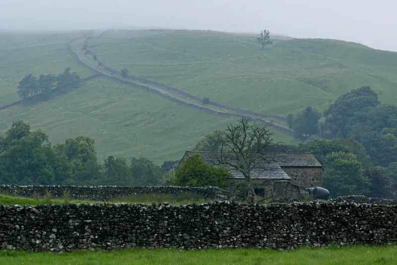 Britain's Crumbling Lifelines: The Ecological Collapse Hidden in Plain Sight