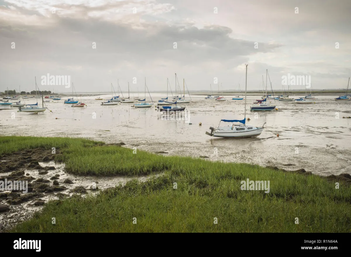 Blackwater Estuary
