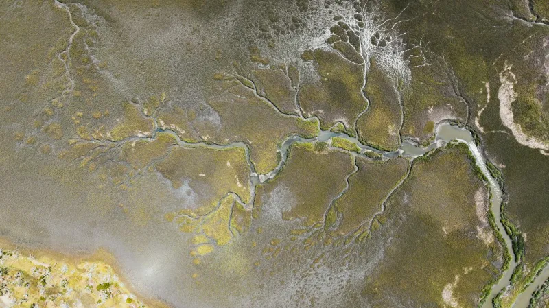 Britain's Drowning Carbon Vaults: The Coastal Catastrophe Accelerating Climate Breakdown