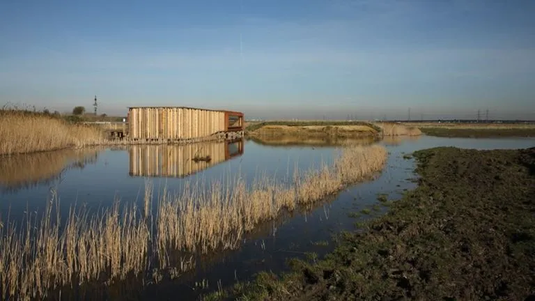 Rainham Marshes