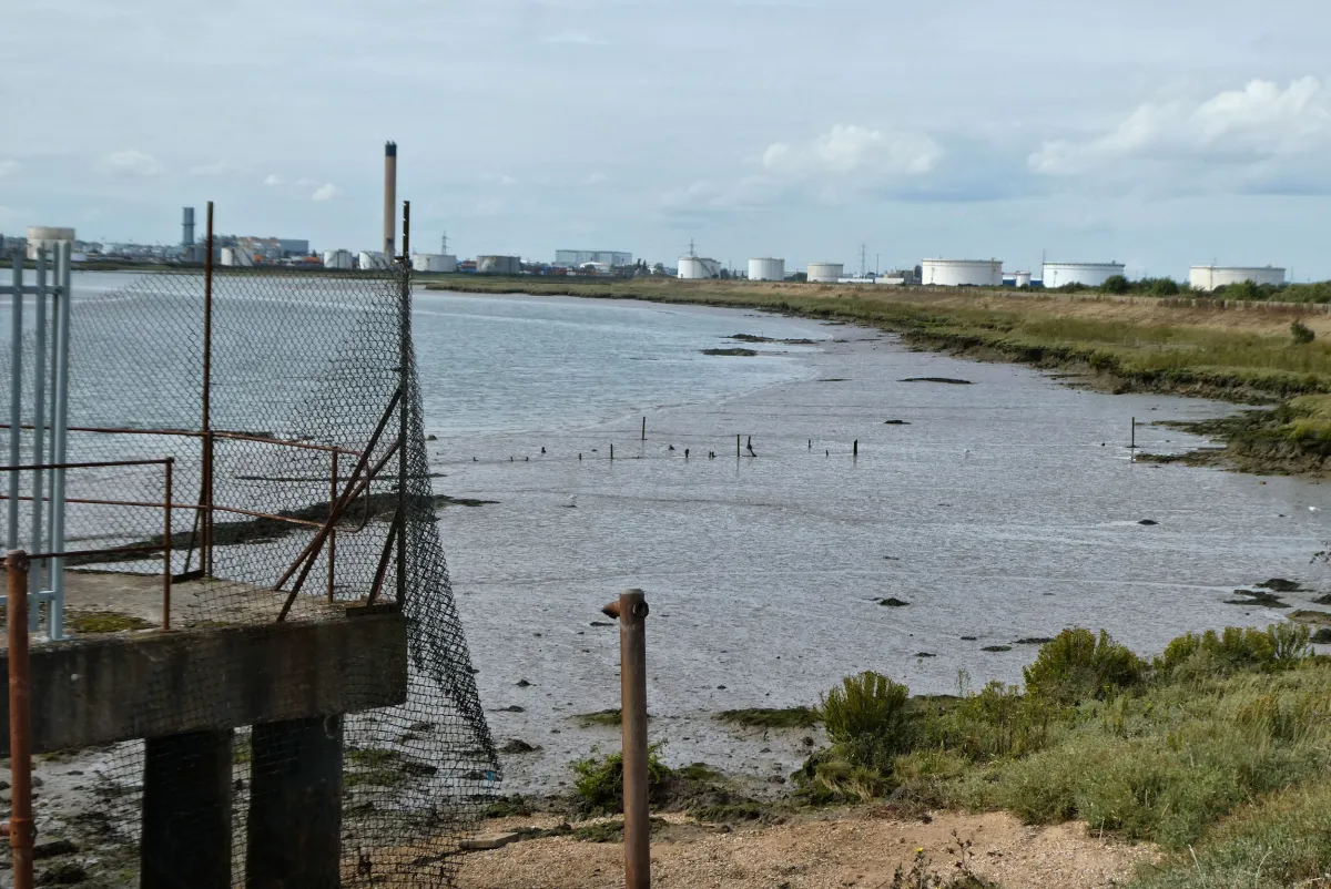 Canvey Wick