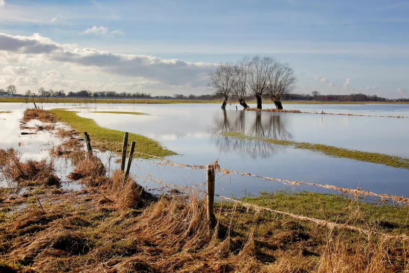 Drowning Heritage: The Climate Sacrifice of Britain's Coastal Grasslands